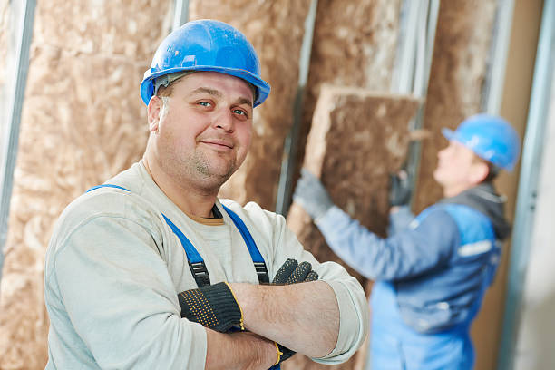 Best Insulation Replacement Services  in Sneads, FL