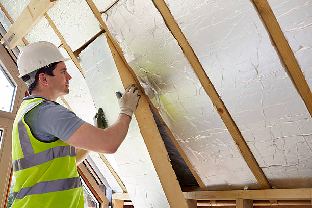 Best Affordable Insulation Services  in Sneads, FL